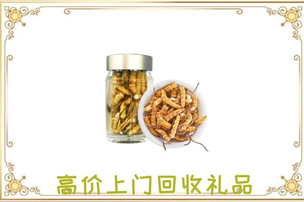 舞钢周边回收虫草